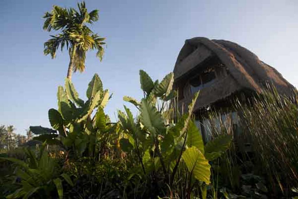 Ubud Hidden Villa Yone Village Экстерьер фото